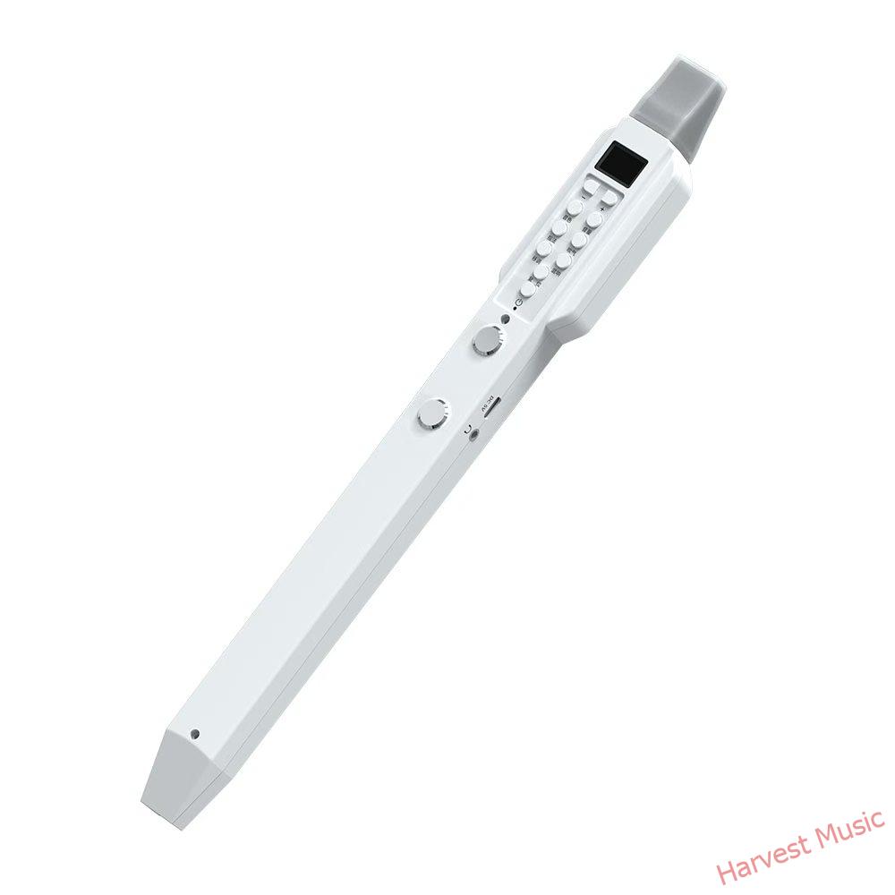 electronic recorder electronic recorder