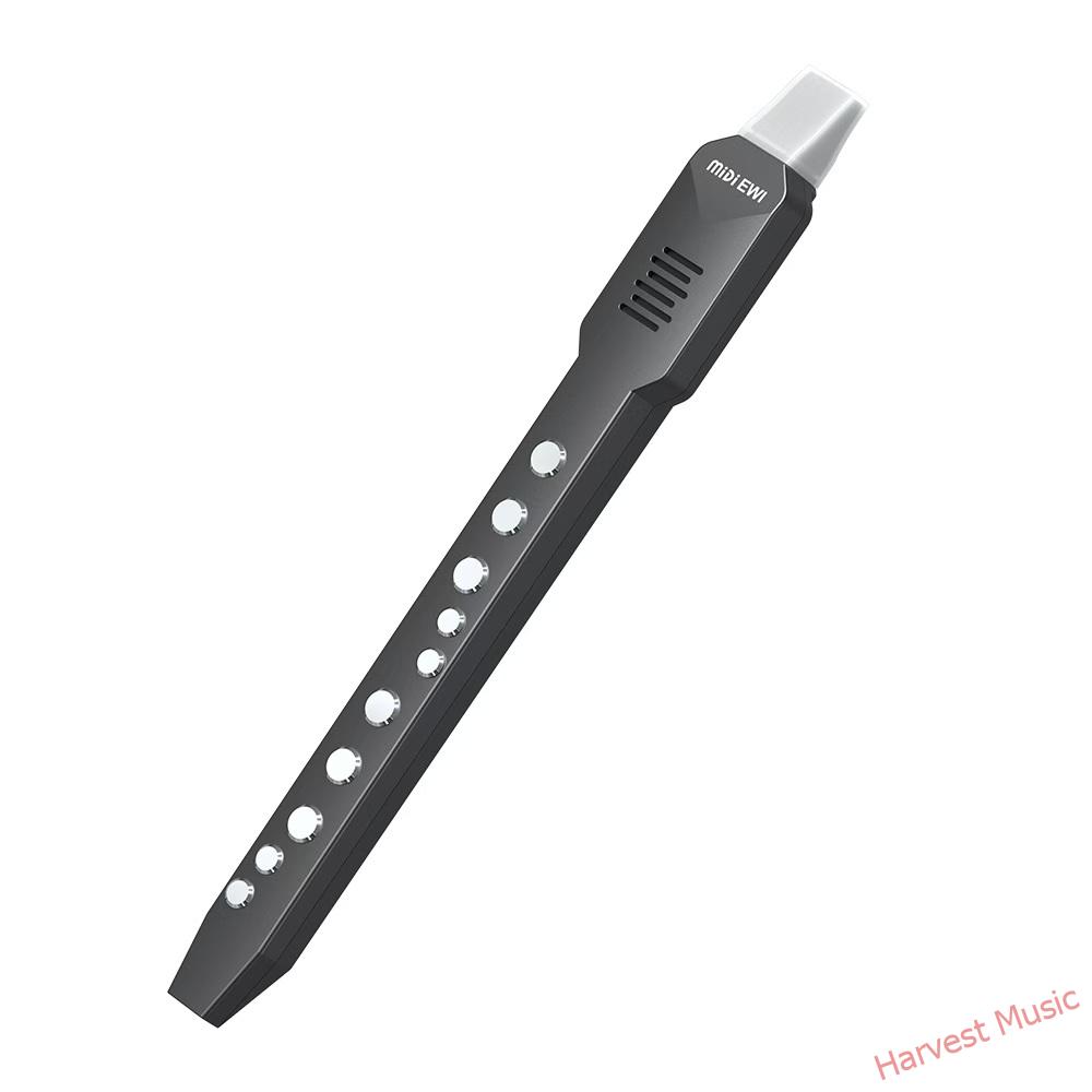 electronic recorder electronic recorder