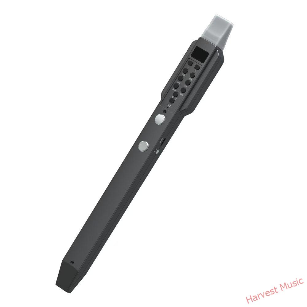 electronic recorder electronic recorder