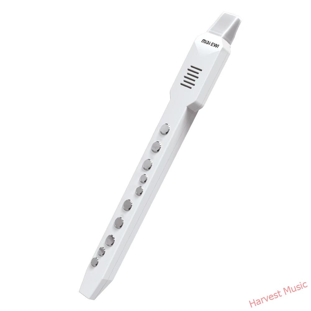 electronic recorder electronic recorder