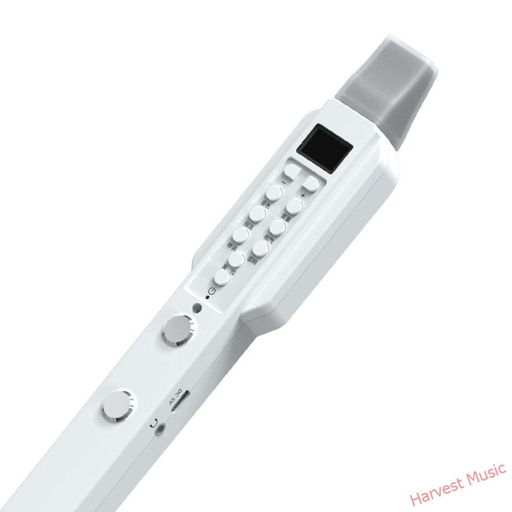 electronic recorder electronic recorder